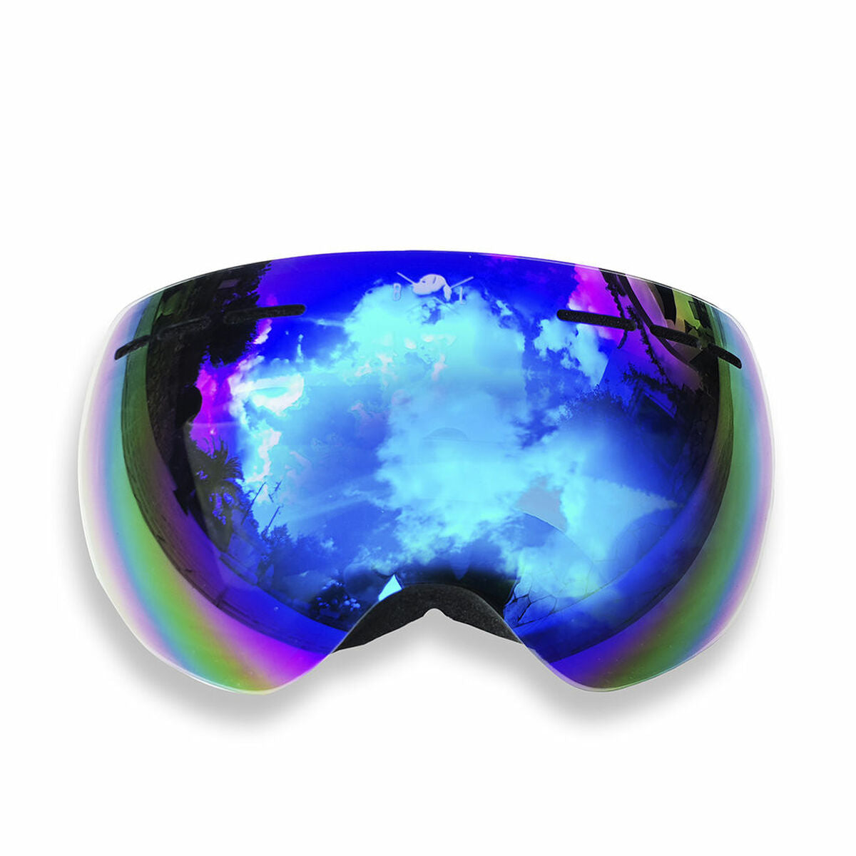 Ski Goggles Brown Labrador S Pro-0