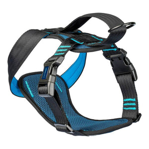 Dog Harness Company of Animals Carsafe Crash Tested Blue 60 cm Travel-1