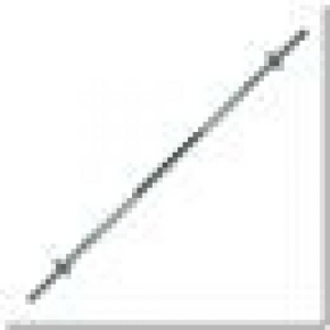 HMS 165cm Straight Bar with Thread and Star Clamps - 30mm Diameter, Knurled Grip, Chrome-Plated Hardened Steel