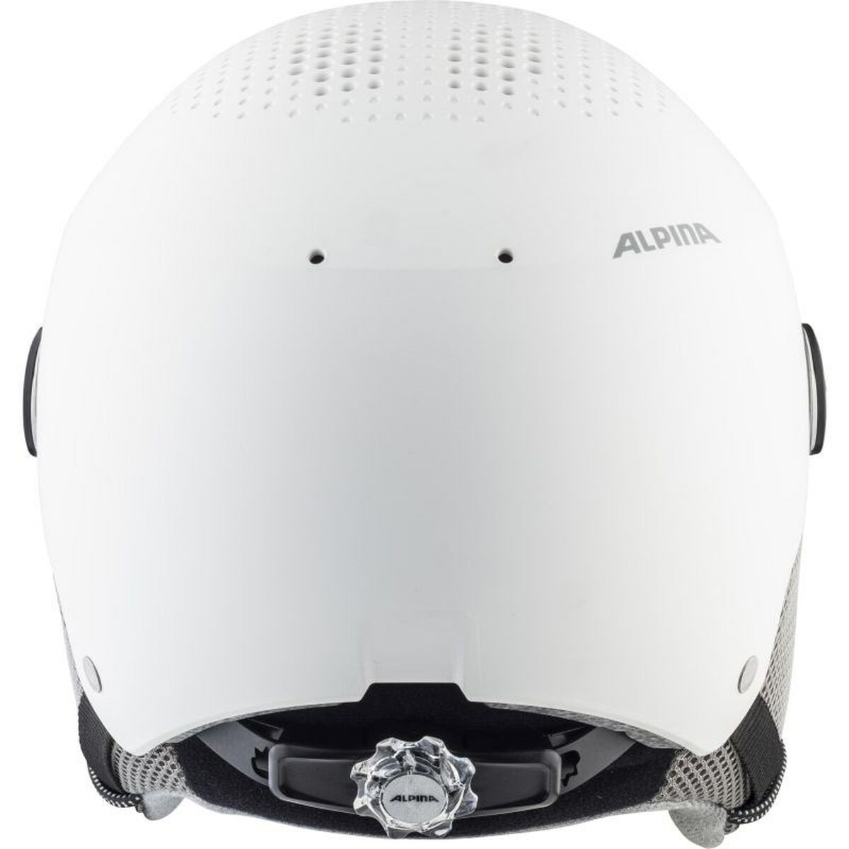 Ski Helmet Alpina Arber Visor Q Lite-3