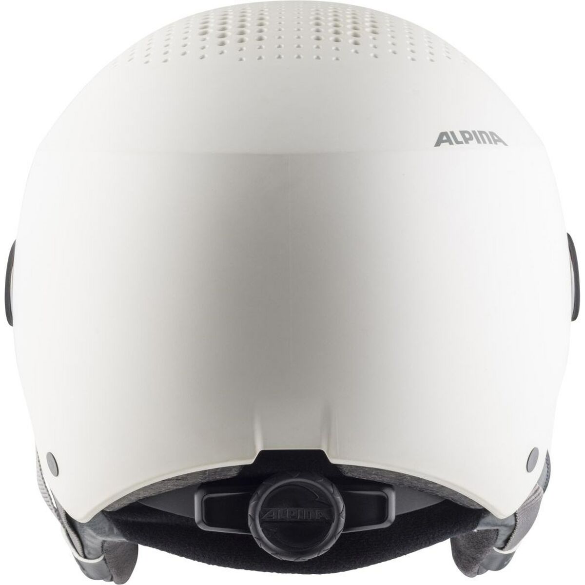 Ski Helmet Alpina Arber Visor Q Lite-0