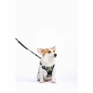 Dog Harness MPETS HIKING M-1