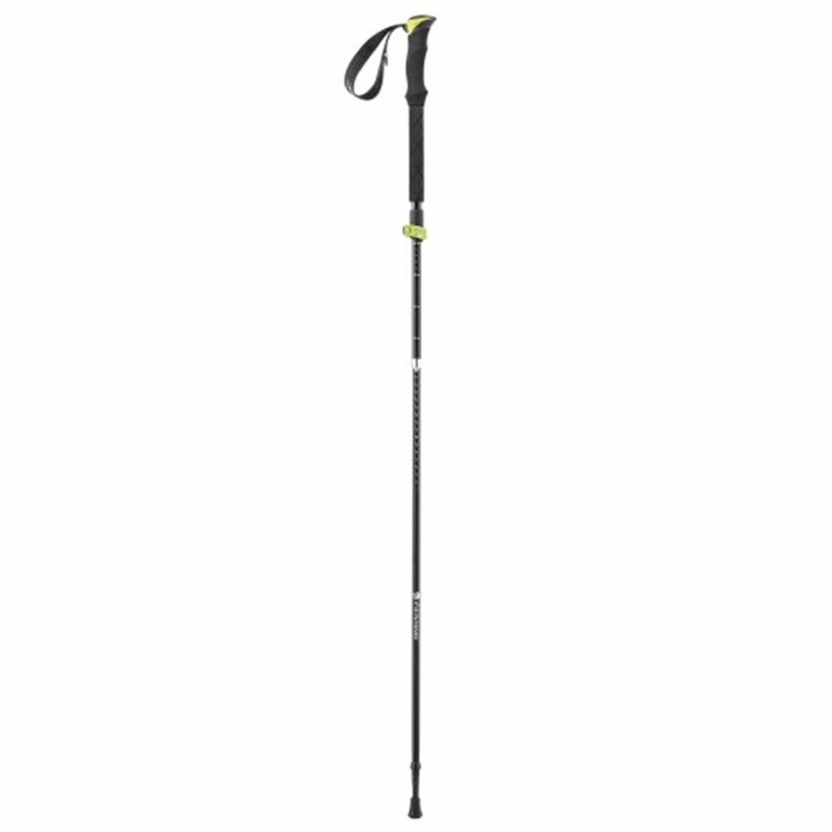 Set of 2 trekking poles Ferrino Spantik-0