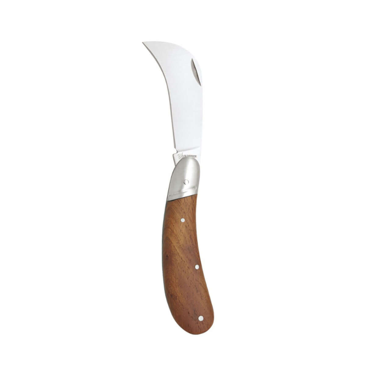 Pocketknife Imex el Zorro Carving Knife with stainless steel blade and wooden handle, ideal for outdoor adventures and camping.