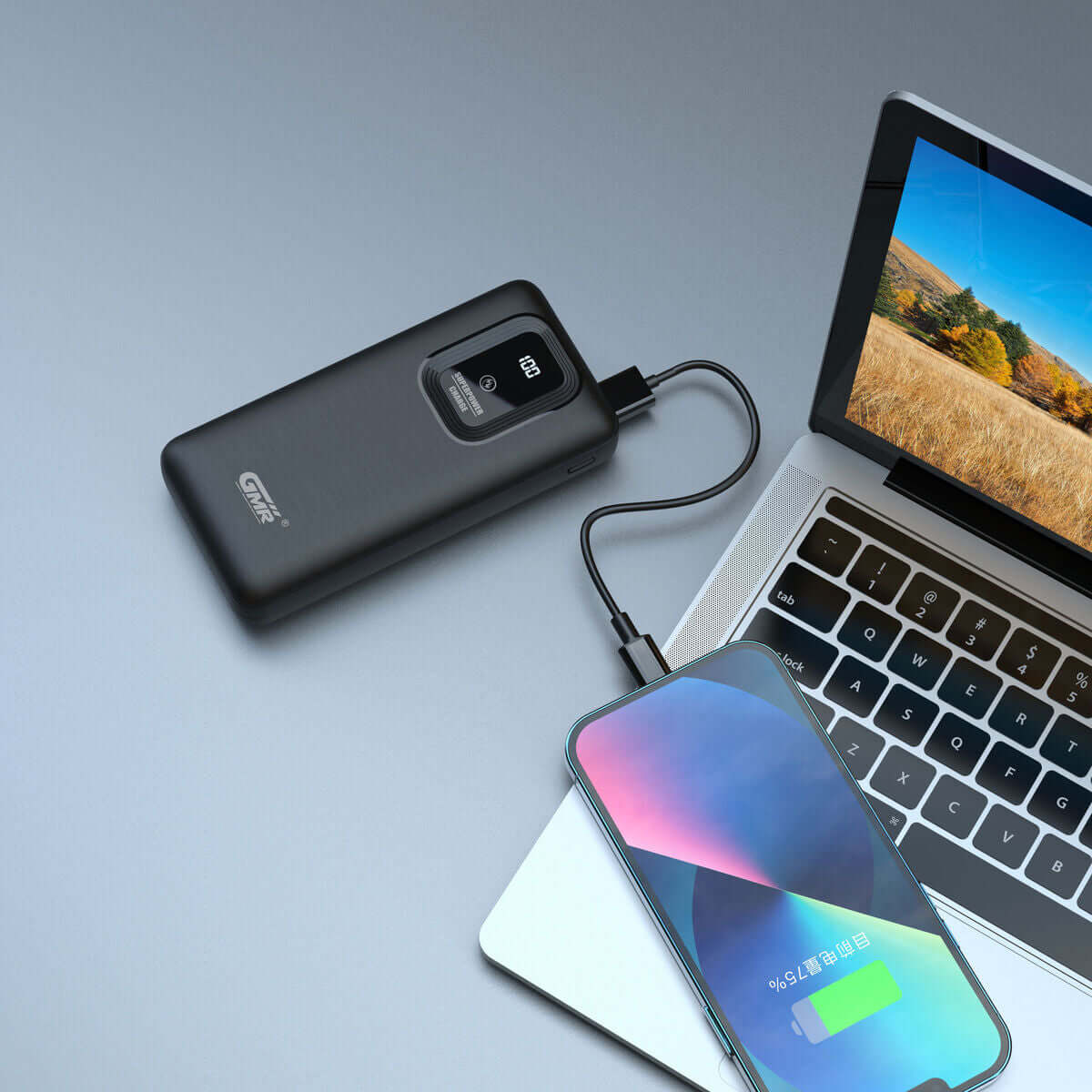 Portable charger Goms 25000 mAh-0