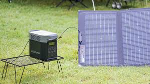 EcoFlow DELTA 2 Solar Generator (PV220W)