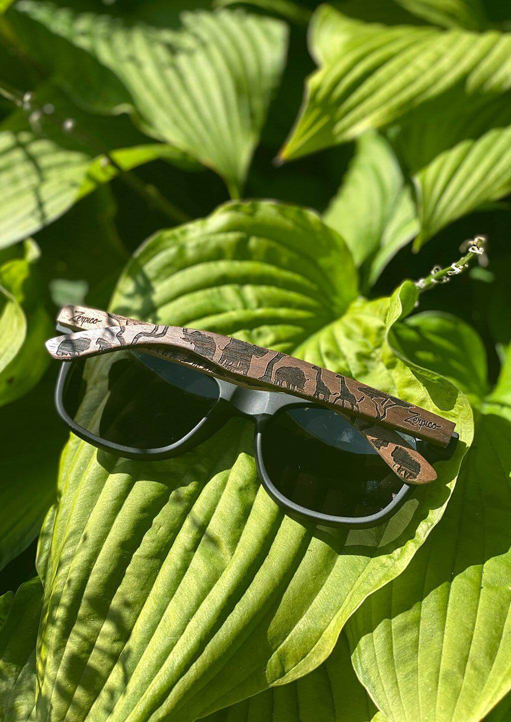 Engraved Eyewood Safari wooden sunglasses on green leaves, ideal for outdoor adventures and camping.