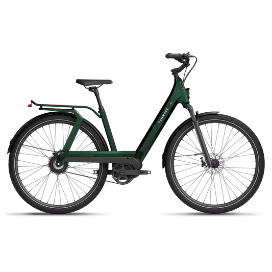 TENWAYS AGO T - City Hybrid E-Bike - Comfort in Elegance - Revlando -  